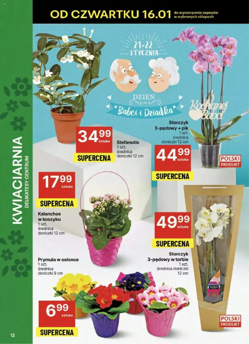 Gazetka promocyjna Delikatesy Centrum - ważna 16.01 do 21.01.2025 - strona 4 - produkty: Fa, Kalanchoe, Kosz, Prymula, Rum, Storczyk