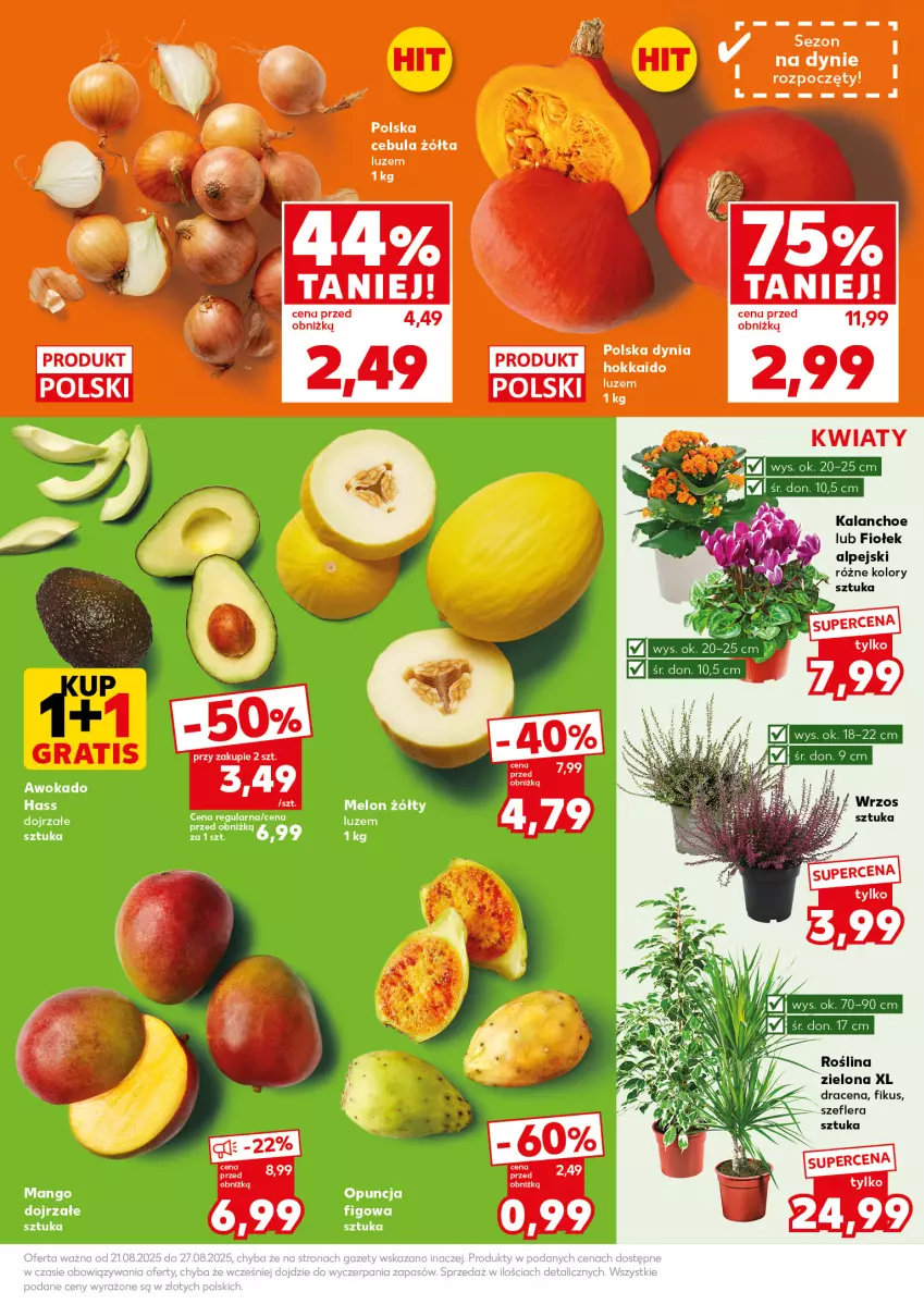 Gazetka promocyjna Kaufland - Mocny Start - ważna 25.08 do 27.08.2025 - strona 13 - produkty: Cebula, Kalanchoe, Mango, Melon