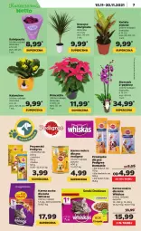 Gazetka promocyjna Netto - Gazetka spożywcza - Gazetka - ważna od 20.11 do 20.11.2021 - strona 7 - produkty: Gin, Gra, Whiskas, Kalanchoe, Storczyk, Przysmaki, Pedigree