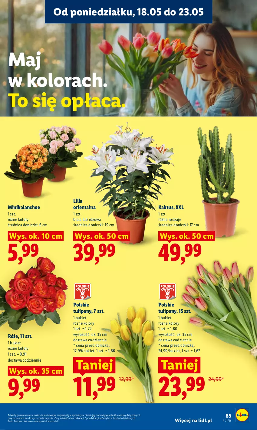 Gazetka promocyjna Lidl - Gazetka ważna od 18.05 do 20.05 - ważna 18.05 do 20.05.2026 - strona 89 - produkty: Bukiet, Kaktus, Kalanchoe, Sok, Tulipan