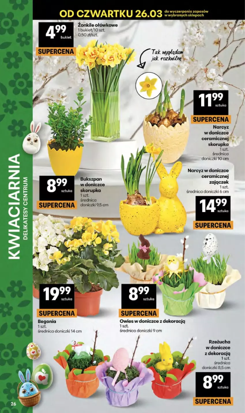 Gazetka promocyjna Delikatesy Centrum - Franczyza DC13 Czwartek - ważna 26.03 do 01.04.2026 - strona 26 - produkty: Bukiet, Narcyz, Rzeżucha