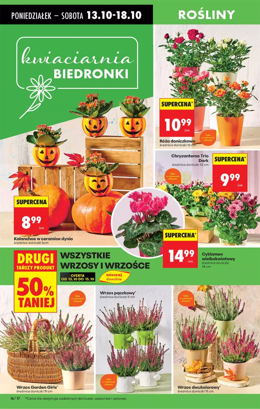 Gazetka promocyjna Biedronka - Od Poniedziałku - ważna 13.10 do 18.10.2025 - strona 18 - produkty: Chryzantema, Cyklamen, Kalanchoe, Róża, Wazon