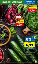 Gazetka promocyjna Lidl - GAZETKA - Gazetka - ważna od 23.04 do 23.04.2025 - strona 13 - produkty: Warzywa, Rukola, Owoce