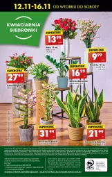 Gazetka promocyjna Biedronka - Od Poniedziałku - Gazetka - ważna od 16.11 do 16.11.2024 - strona 82 - produkty: Sok, Gra, Telefon, Papier, Rama, Kosz, Napoje, Wazon, Fa