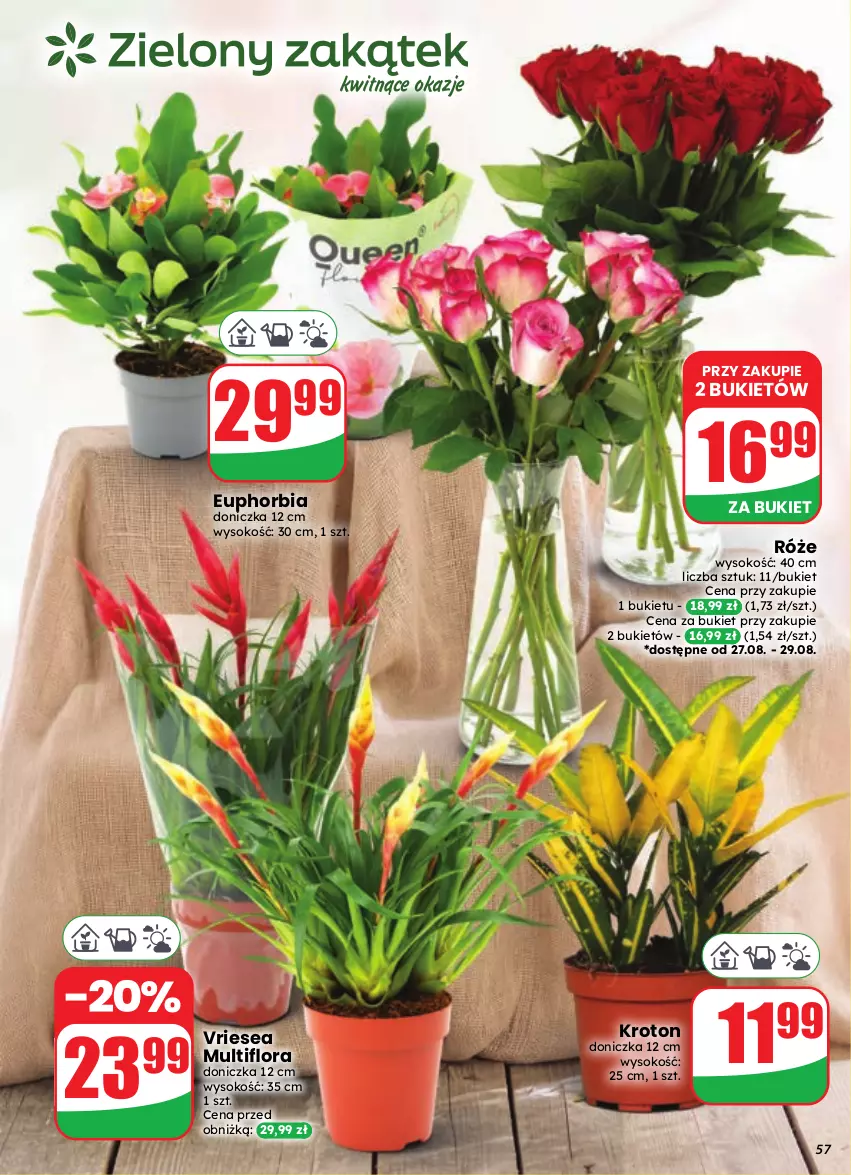Gazetka promocyjna Dino - Gazetka 35 / 2026 - ważna 26.08 do 01.09.2026 - strona 57 - produkty: Bukiet, Flora, Sok