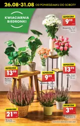 Gazetka promocyjna Biedronka - Od poniedzialku - Gazetka - ważna od 31.08 do 31.08.2024 - strona 67 - produkty: Sok, Róża, Tera, Wazon