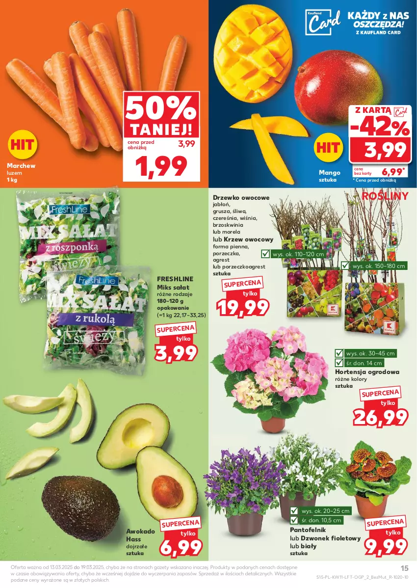 Gazetka promocyjna Kaufland - Gazetka tygodnia - ważna 13.03 do 19.03.2025 - strona 15 - produkty: Dzwonek, Gres, Mango, Morela, Por, Sałat