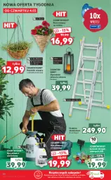 Gazetka promocyjna Kaufland - OFERTA TYGODNIA - Gazetka - ważna od 10.03 do 10.03.2021 - strona 50 - produkty: Piec, Latarnia, Top, Drabina, Kosz, Lampion, Kwietnik, Kokos