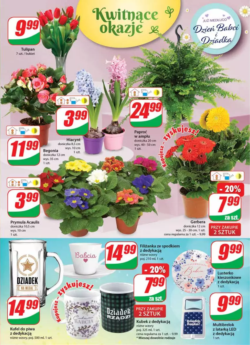 Gazetka promocyjna Dino - Gazetka - ważna 12.01 do 18.01.2022 - strona 15 - produkty: Bukiet, Filiżanka, Gerber, Hiacynt, Kubek, Piwa, Prymula, Tulipan