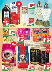 Gazetka promocyjna Dino - Gazetka - Gazetka - ważna od 18.01 do 18.01.2022 - strona 17 - produkty: Mokra karma, Ser, Vitakraft, Friskies, Znicz, Olej, Sucha karma
