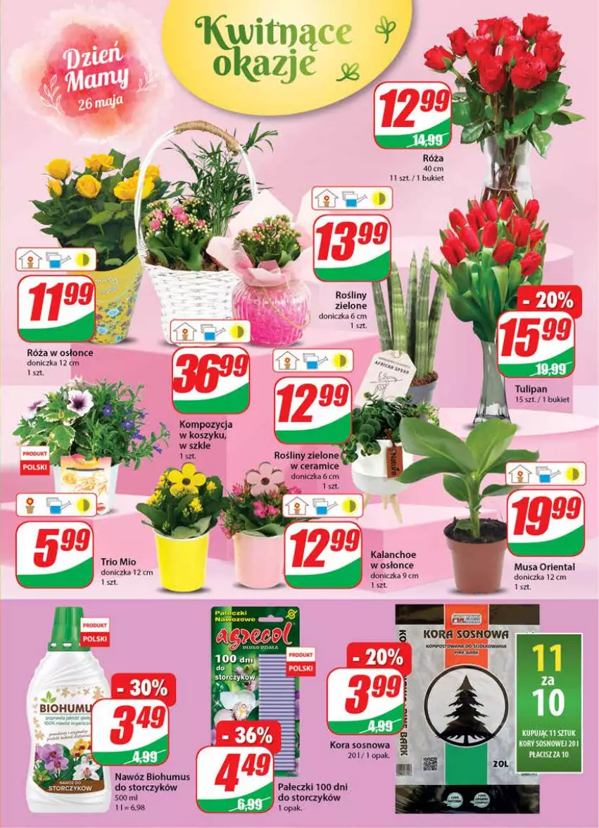 Gazetka promocyjna Dino - Gazetka - ważna 26.05 do 01.06.2021 - strona 17 - produkty: Biohumus, Bukiet, Kalanchoe, Kosz, Mus, Nawóz, Róża, Sos, Storczyk, Tulipan