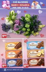 Gazetka promocyjna Aldi - Pełna oferta - Gazetka - ważna od 20.01 do 20.01.2024 - strona 16 - produkty: Hiacynt, Czekolada, Bukiet