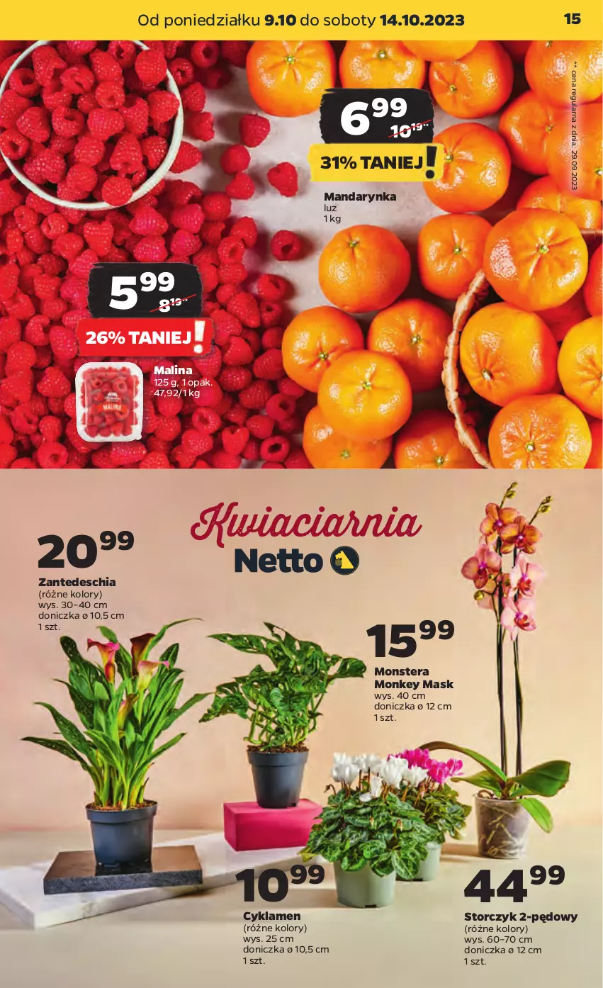 Gazetka promocyjna Netto - Artykuły spożywcze - ważna 09.10 do 14.10.2023 - strona 15 - produkty: Chia, Cyklamen, Storczyk, Tera