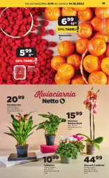 Gazetka promocyjna Netto - Artykuły spożywcze - Gazetka - ważna od 14.10 do 14.10.2023 - strona 15 - produkty: Cyklamen, Chia, Tera, Storczyk