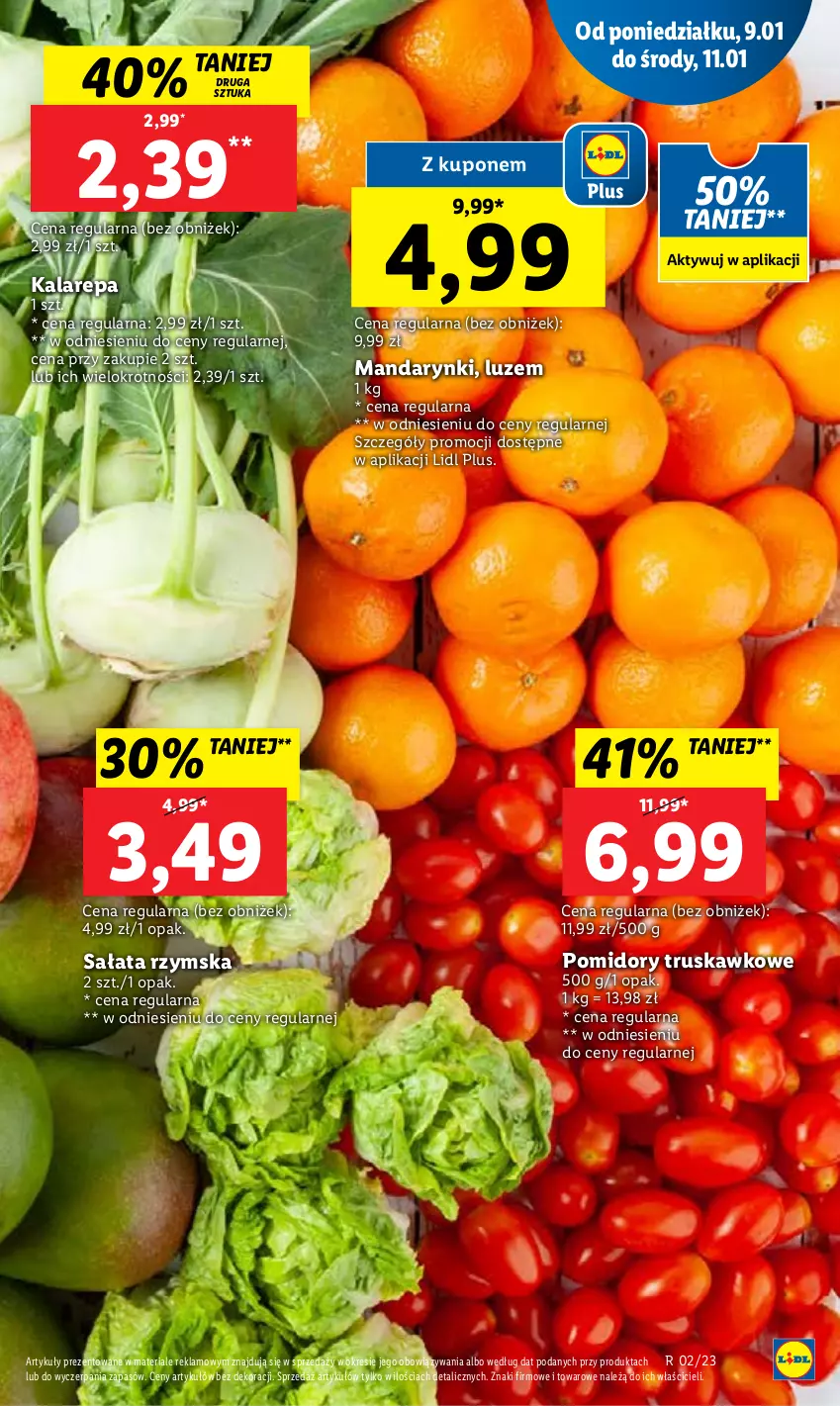 Gazetka promocyjna Lidl - GAZETKA - ważna 09.01 do 11.01.2023 - strona 21 - produkty: Mandarynki, Pomidory, Sałat
