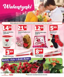 Gazetka promocyjna Topaz - Gazetka - Gazetka - ważna od 11.02 do 11.02.2026 - strona 26 - produkty: Top, Ser, Długopis, Karp, Poszewka, Kubek