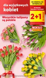 Gazetka promocyjna Lidl - GAZETKA - Gazetka - ważna od 09.03 do 09.03.2024 - strona 7 - produkty: Tulipan, Bukiet