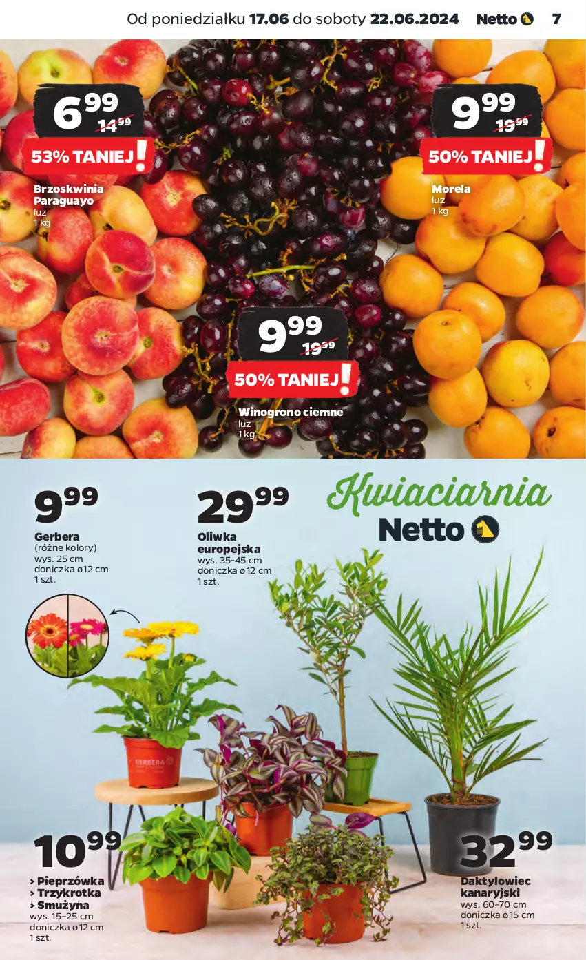 Gazetka promocyjna Netto - Od Poniedziałku - ważna 17.06 do 22.06.2024 - strona 7 - produkty: Gerber, Morela, Pieprz, Wino