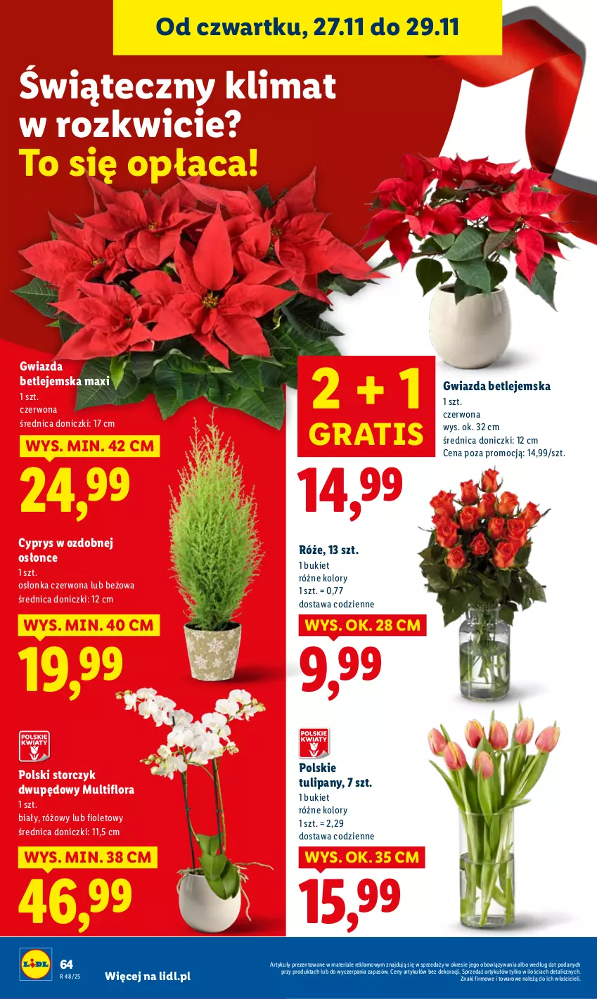 Gazetka promocyjna Lidl - GAZETKA - ważna 27.11 do 29.11.2025 - strona 64 - produkty: Bukiet, Flora, Gra, Gwiazda, Osłonka, Storczyk, Tulipan