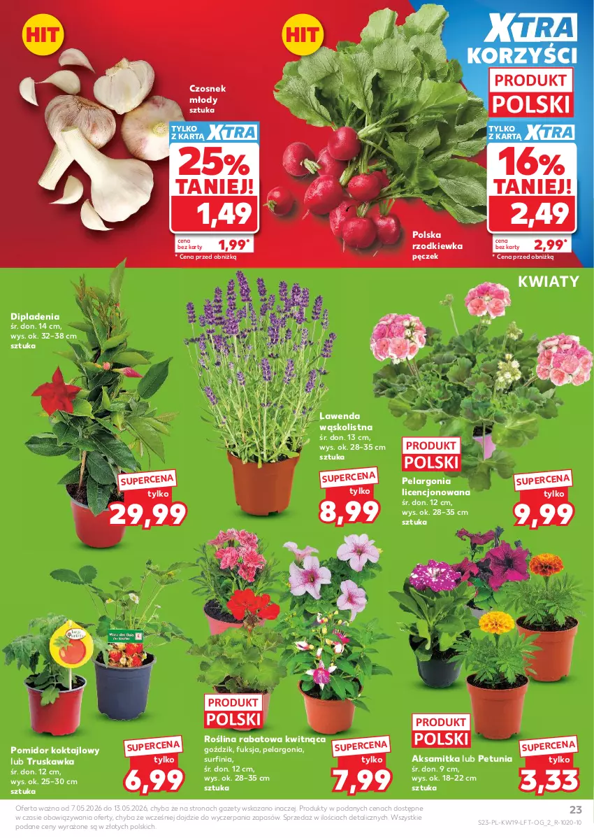 Gazetka promocyjna Kaufland - Gazetka tygodnia - ważna 07.05 do 13.05.2026 - strona 23 - produkty: Aksam, Czosnek, Rzodkiewka, Surf