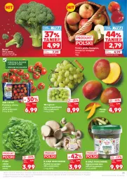Gazetka promocyjna Kaufland - Gazetka tygodnia - Gazetka - ważna od 13.05 do 13.05.2026 - strona 21 - produkty: Jonagold, Sałata masłowa, Szampion, Sałat, Winogrona, Wino, Masło, Mango, Pomidory, Jabłka, Boczniak