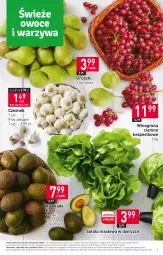 Gazetka promocyjna Stokrotka - Supermarket - Gazetka - ważna od 15.03 do 15.03.2023 - strona 3 - produkty: Warzywa, Sałata masłowa, Czosnek, Sałat, Gruszki, Winogrona, Owoce, Wino, Masło, Mięso