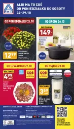 Gazetka promocyjna Aldi - Pełny katalog - Gazetka - ważna od 29.10 do 29.10.2022 - strona 40 - produkty: Sok, Por, Salami, Chryzantema, O nas, Znicz, Biuro, Olej, Fa