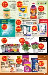 Gazetka promocyjna Delikatesy Centrum - Gazetka Delikatesy Centrum - Gazetka - ważna od 26.05 do 26.05.2021 - strona 27 - produkty: Kurczak, Płyn do kąpieli, Banany, Jan Niezbędny, Warzywa, Ser, Róża, Chryzantema, Whiskas, BoboVita, Zdrowie, Wazon, Bebiko, Szampon, Brzoskwinie, Wołowina, Szklanka, Deser, Orka, Jabłka, Folia aluminiowa, Butcher's, Mleko