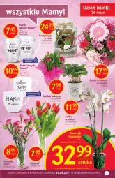 Gazetka promocyjna Delikatesy Centrum - Gazetka Delikatesy Centrum - Gazetka - ważna od 26.05 do 26.05.2021 - strona 7 - produkty: Tulipan, Bukiet, Kubek