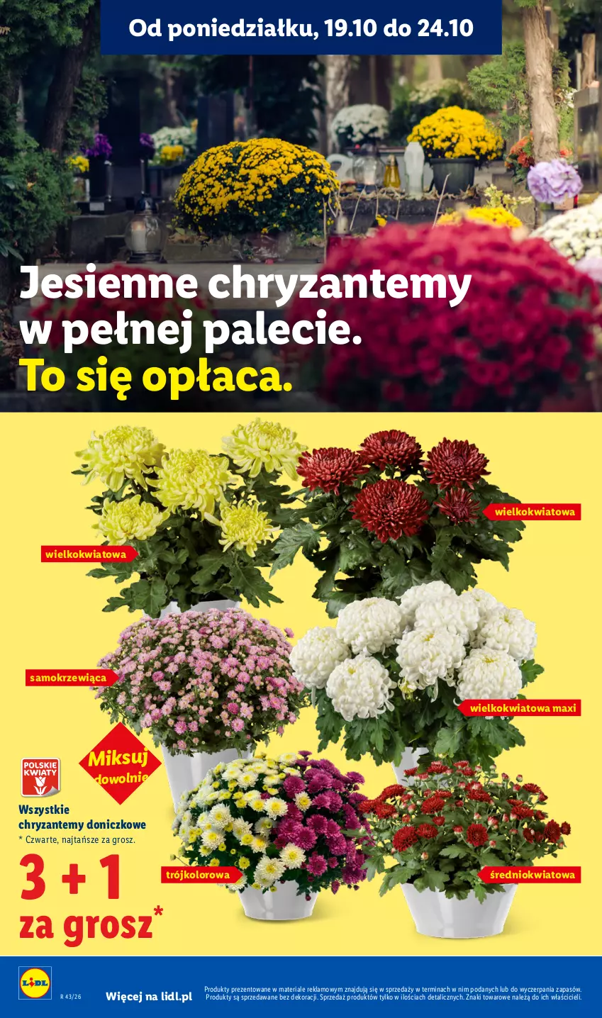 Gazetka promocyjna Lidl - Gazetka - ważna 22.10 do 24.10.2026 - strona 102