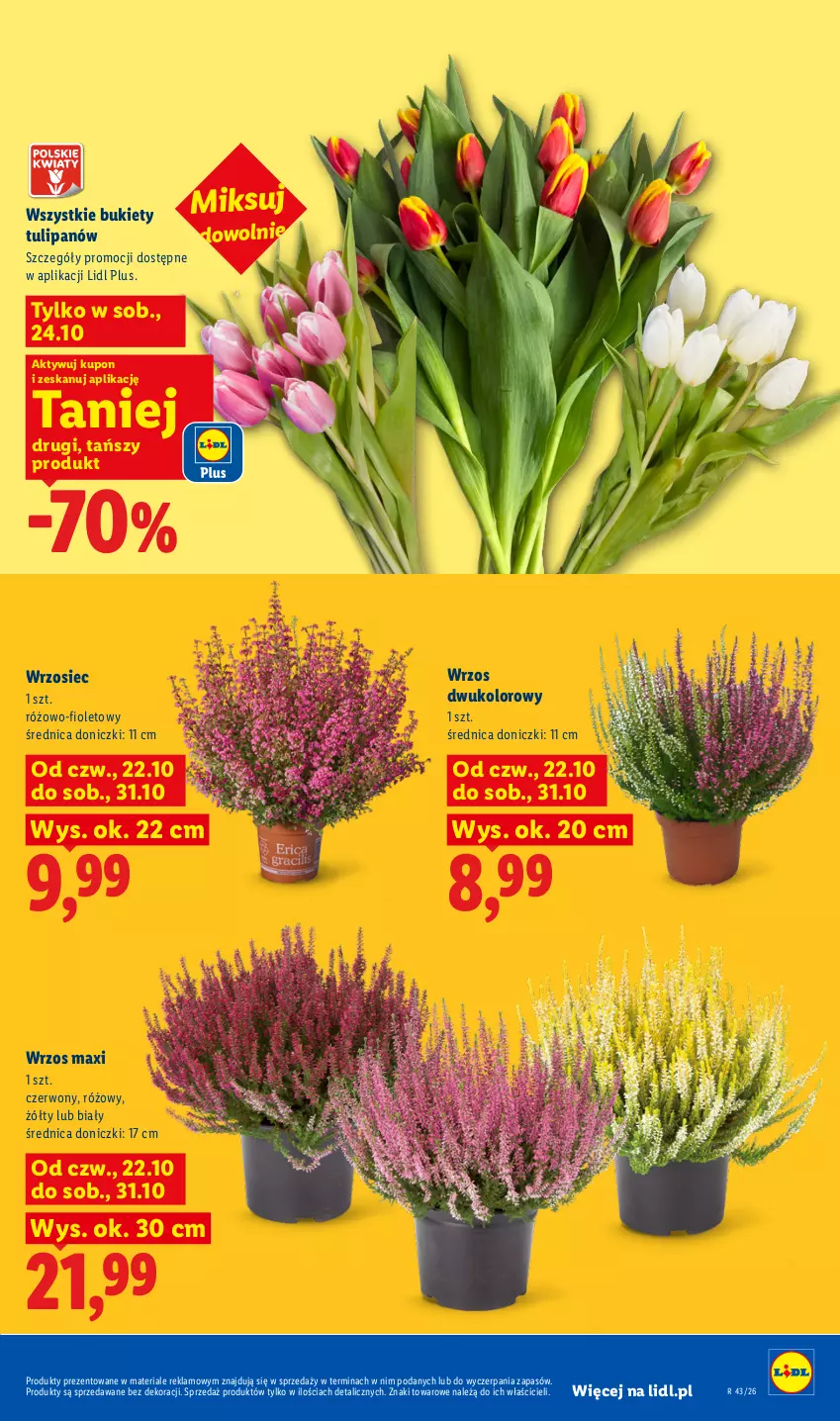 Gazetka promocyjna Lidl - Gazetka - ważna 22.10 do 24.10.2026 - strona 103 - produkty: Bukiet, Tulipan