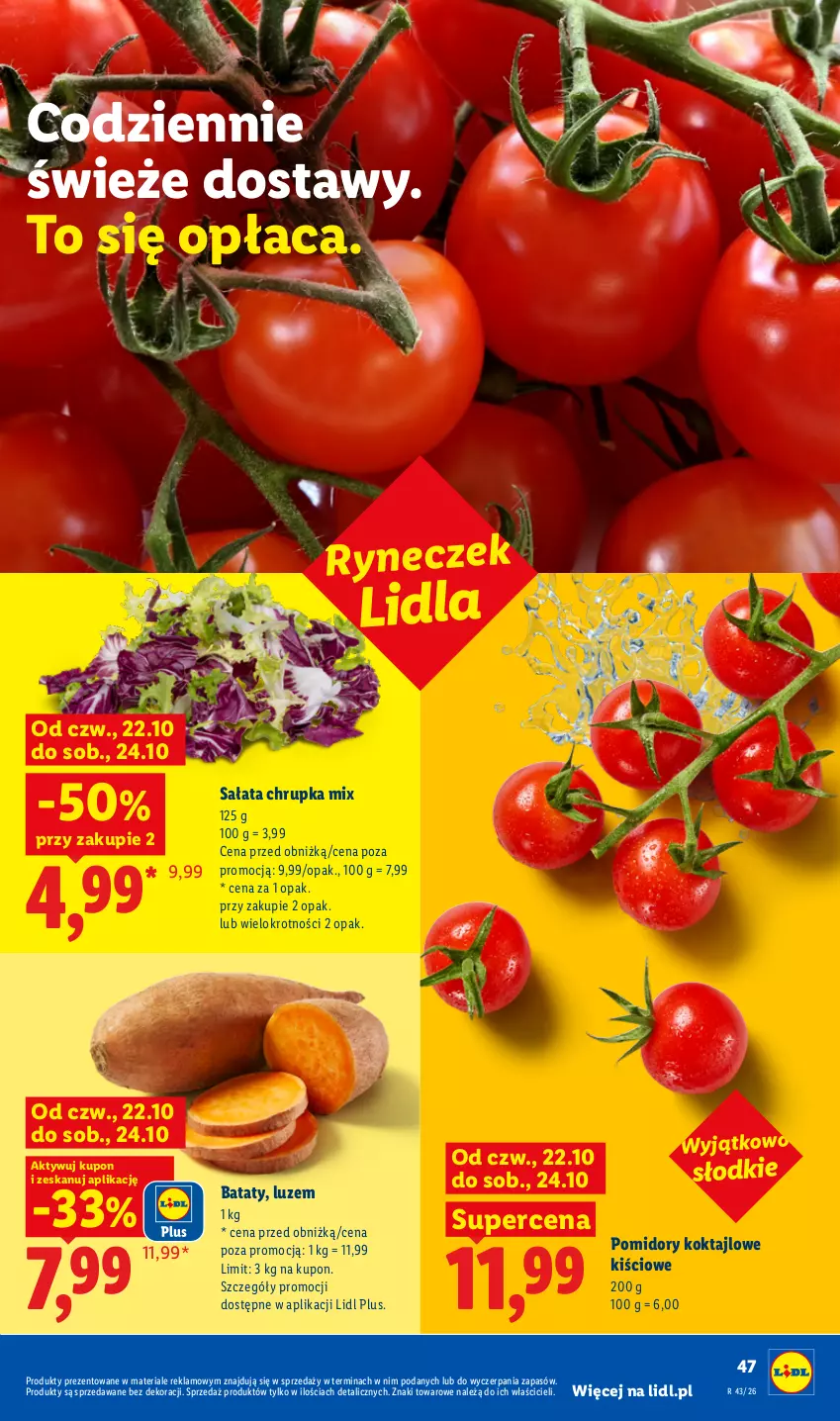 Gazetka promocyjna Lidl - Gazetka - ważna 22.10 do 24.10.2026 - strona 49 - produkty: Pomidory, Sałat