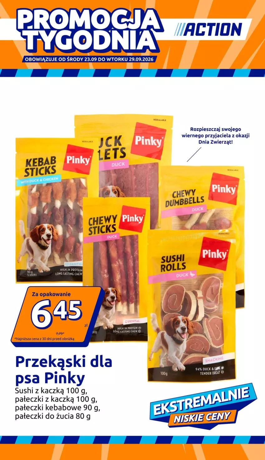 Gazetka promocyjna Action - Gazetka tydzień 39 2026 - ważna 23.09 do 29.09.2026 - strona 1 - produkty: Kebab, Przekąski dla psa, Sushi