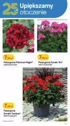 Gazetka promocyjna Castorama - Gazetka - ważna od 22.05 do 22.05.2022 - strona 11 - produkty: Koc, Palenisko, Kret, Wózek, Grill, Grill gazowy