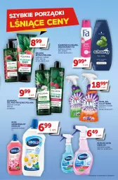 Gazetka promocyjna Groszek - Gazetka - ważna od 21.03 do 21.03.2023 - strona 23 - produkty: Por, Dezodorant, Schwarzkopf, LANA, Schauma, Szampon, Mydło, Sidolux, Płyn do szyb, Fa