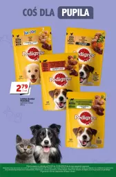 Gazetka promocyjna Groszek - Gazetka - ważna od 13.06 do 13.06.2023 - strona 31 - produkty: Kurczak, Kawa, Gala, Pedigree, Groszek