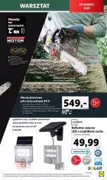 Gazetka promocyjna Lidl - GAZETKA - Gazetka - ważna od 16.09 do 16.09.2023 - strona 13 - produkty: Mule, Reflektor, Akumulator