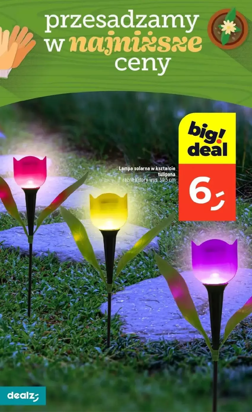Gazetka promocyjna Dealz - ważna 30.04 do 07.05.2025 - strona 19