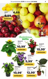 Gazetka promocyjna Netto - Gazetka spożywcza 27.06-02.07 - Gazetka - ważna od 02.07 do 02.07.2022 - strona 5 - produkty: Surf, Siatka