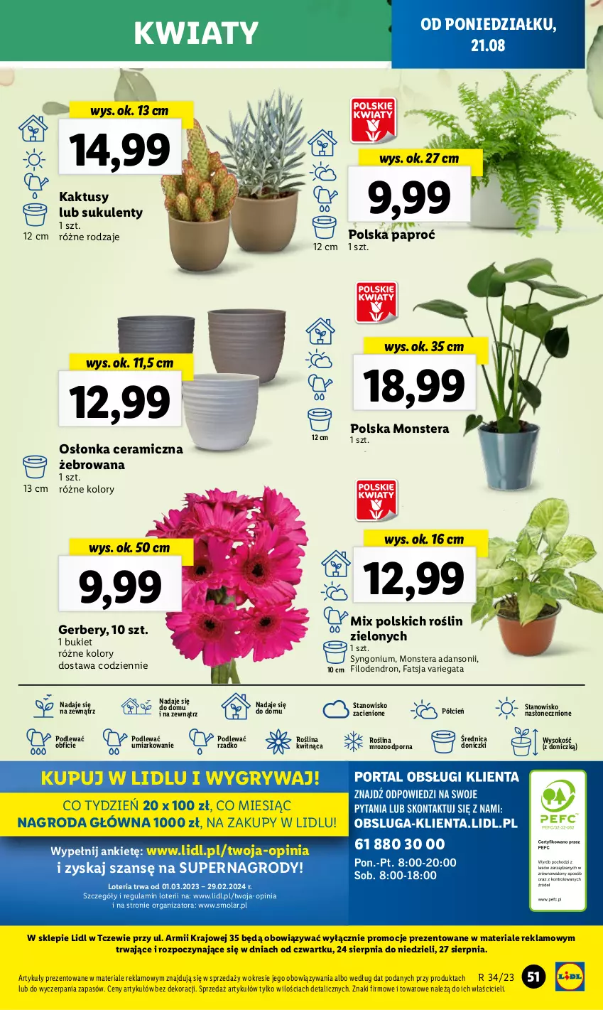 Gazetka promocyjna Lidl - GAZETKA - ważna 21.08 do 27.08.2023 - strona 57 - produkty: Bukiet, Cień, Fa, Gerber, Gry, Kaktus, Mola, O nas, Osłonka, Por, Sok, Sukulent, Tera