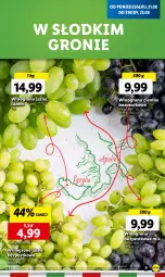 Gazetka promocyjna Lidl - GAZETKA - Gazetka - ważna od 27.08 do 27.08.2023 - strona 13 - produkty: Warzywa, Warzywa i owoce, Owoce, Wino