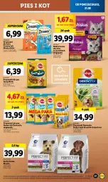 Gazetka promocyjna Lidl - GAZETKA - Gazetka - ważna od 27.08 do 27.08.2023 - strona 65 - produkty: Mokra karma, Whiskas, Przysmaki, Pedigree, Sucha karma
