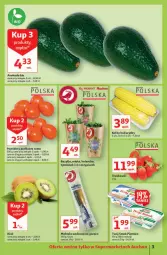 Gazetka promocyjna Auchan - Rysują się supertanie okazje Supermarkety - Gazetka - ważna od 25.08 do 25.08.2021 - strona 3 - produkty: Piątnica, Kolendra, Kiwi, Tusz, Bazyl, Twój Smak, Bazylia, Pomidory, Mięta