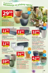Gazetka promocyjna Auchan - Te URODZINY są NAJ Hipermarket - Gazetka - ważna od 07.05 do 07.05.2025 - strona 51 - produkty: Por, Tera