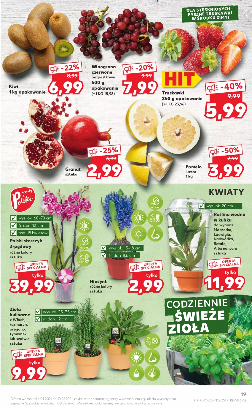 Gazetka promocyjna Kaufland - OFERTA TYGODNIA - ważna 04.02 do 10.02.2021 - strona 19 - produkty: Gra, Granat, Hiacynt, Kiwi, Pomelo, Storczyk, Tera, Truskawki, Wino, Winogrona, Wódka