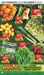 Gazetka promocyjna Delikatesy Centrum - NOWA GAZETKA Delikatesy Centrum od 28 marca! 28.03-03.04.2024 - Gazetka - ważna od 03.04 do 03.04.2024 - strona 46 - produkty: Pomarańcze, Rzodkiewka