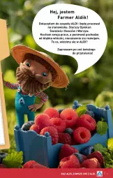 Gazetka promocyjna Aldi - Pełna oferta - Gazetka - ważna od 20.04 do 20.04.2024 - strona 5 - produkty: Koc, Fa