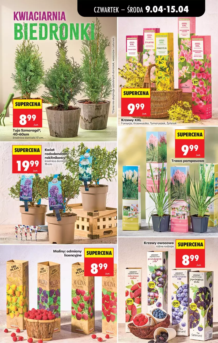 Gazetka promocyjna Biedronka - Od Czwartku - ważna 09.04 do 15.04.2026 - strona 83 - produkty: Maliny, Por, Stek, Wazon