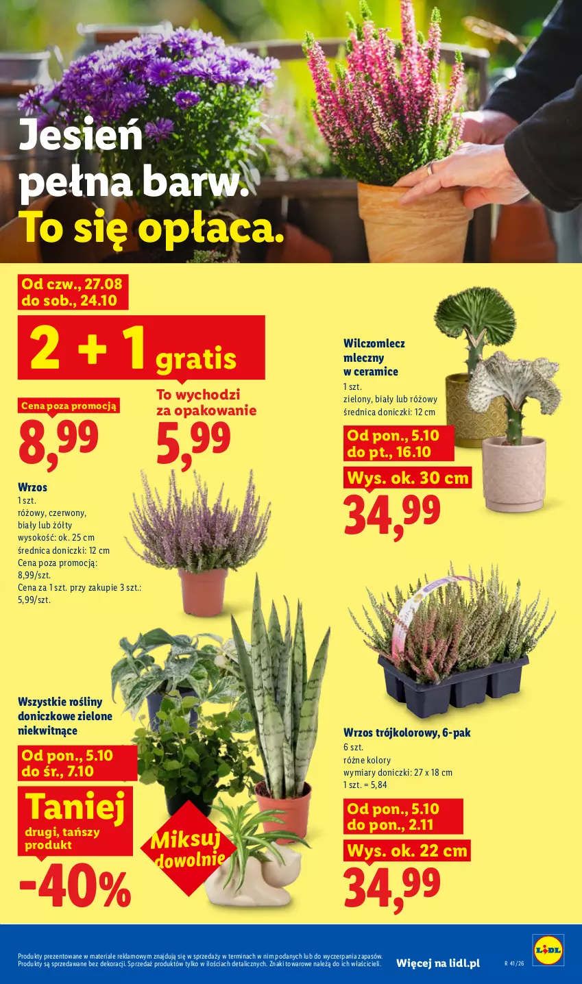 Gazetka promocyjna Lidl - Gazetka - ważna 05.10 do 07.10.2026 - strona 89 - produkty: Gra, Sok