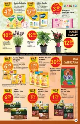 Gazetka promocyjna Delikatesy Centrum - Gazetka DC27 - Gazetka - ważna od 20.07 do 20.07.2022 - strona 29 - produkty: Kurczak, Warzywa, Sos, Ryż, Friskies, BoboVita, Tera, Bebiko, Chusteczki, Owoce, Pedigree, Mleko